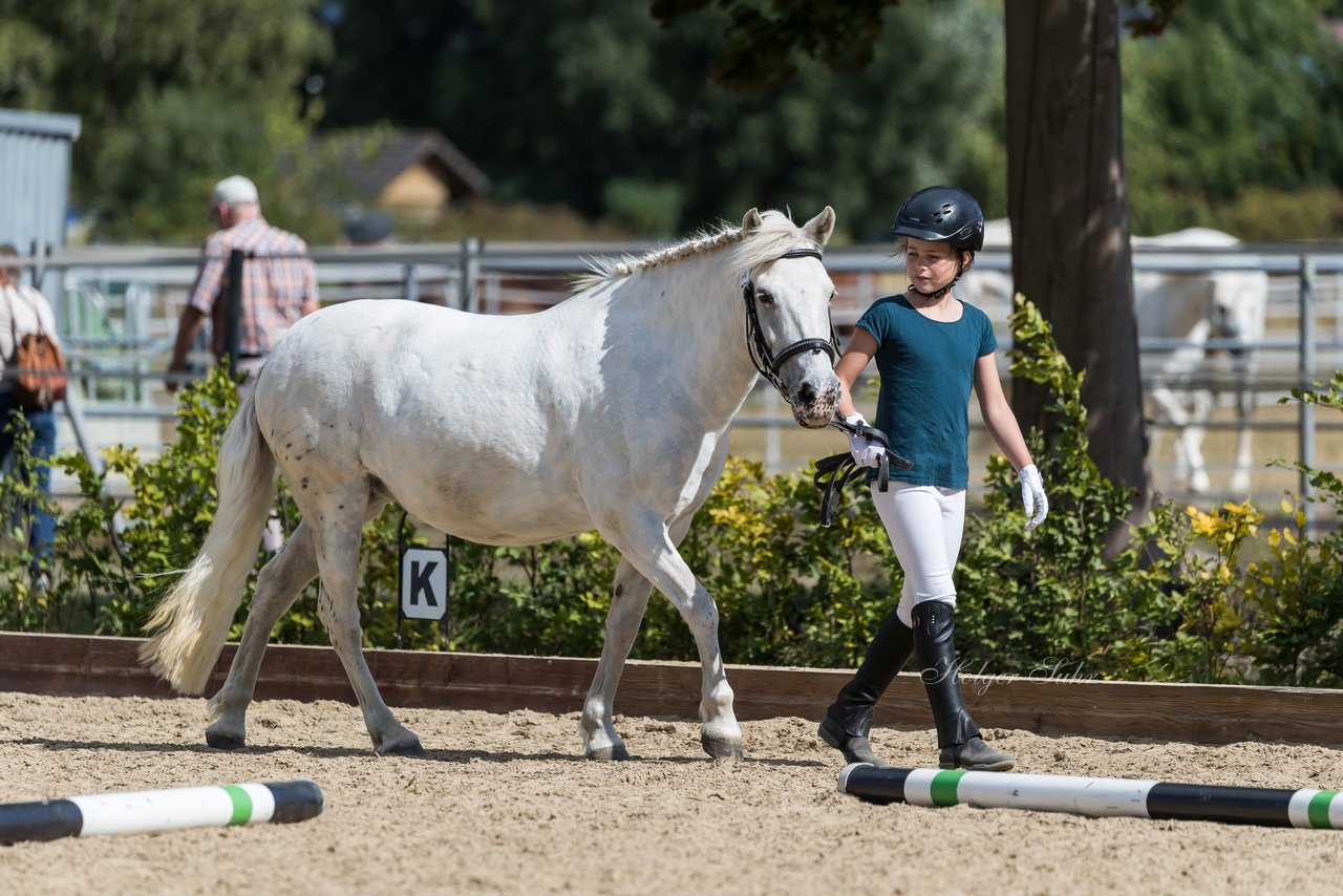 Bild 53 - Pony Akademie Turnier